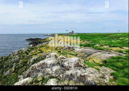 Heftklammer-Insel Stockfoto