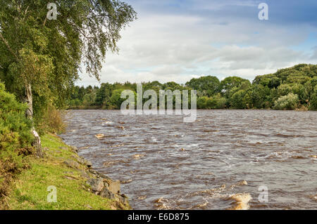 FLUß FINDHORN IN DER NÄHE VON FORRES MORAY SCHOTTLAND IN FLUT AN ROTEN CRAIG POOL IM AUGUST Stockfoto