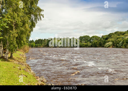 FLUß FINDHORN IN DER NÄHE VON FORRES MORAY SCHOTTLAND HOCHWASSER AM ROTEN CRAIG POOL IM AUGUST Stockfoto