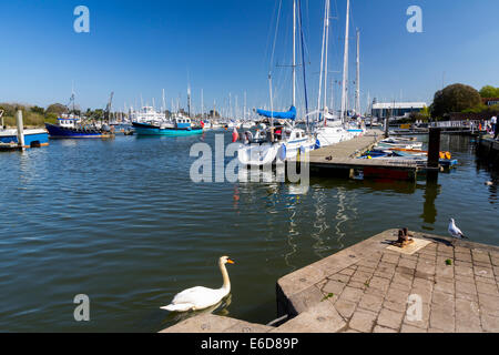 Boote im Hafen von Lymington Hampshire England UK Europa Stockfoto