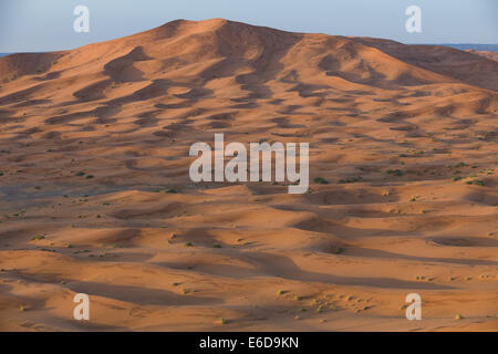 Blick hinunter auf Rollen Sand Dünen der Sahara bei Sonnenaufgang, Erg Chebbi, Merzouga, in der Nähe von Erfoud, Marokko Stockfoto