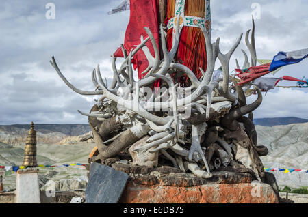 Hörner, Stoßzähne und Geweih des alten Tote Tiere auf Lo Manthang König Palast Dach, Upper Mustang, Nepal Stockfoto