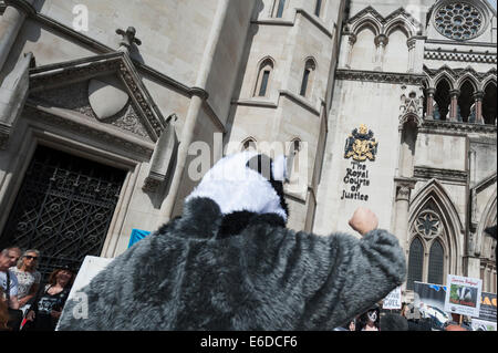 Royal Courts of Justice, London, UK. 21. August 2014. Eine große Schar von anti-Dachs Keulung Demonstranten versammelten sich vor den Royal Courts of Justice wie The Badger Trust vor Gericht mit einer neuen Klage über die Regierungspolitik Dachs Keulung wurde. Die Organisation will eine High Court Urteil besagt, das es eine rechtswidrige Nichtbeachtung ein unabhängiges Gremium von Experten, das diesjährige überwachen eingeführt wurde geplant Keulen in Gloucestershire und Somerset. Bildnachweis: Lee Thomas/Alamy Live-Nachrichten Stockfoto