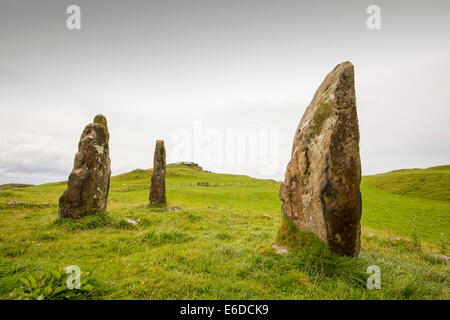 4000 Jahre alten Menhire auf dem Glen Gorm Landgut in der Nähe von Tobermory, Isle of Mull, Schottland, UK. Stockfoto