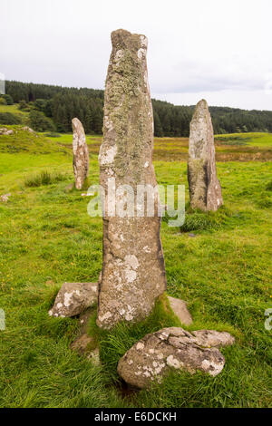 4000 Jahre alten Menhire auf dem Glen Gorm Landgut in der Nähe von Tobermory, Isle of Mull, Schottland, UK. Stockfoto