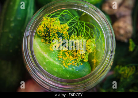 Draufsicht auf ein Glas mit Gurken und andere Zutaten für Beizen Stockfoto