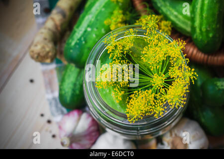 Draufsicht auf ein Glas mit Gurken und andere Zutaten für Beizen Stockfoto