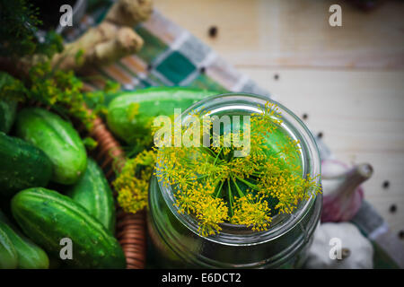 Draufsicht auf ein Glas mit Gurken und andere Zutaten für Beizen Stockfoto