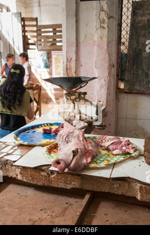 Schweinekopf auf einem Tablett und traditionelle Old-fashioned mit einem Gewicht von Waagen in einer Metzgerei Stand auf einem lokalen Markt in Havanna, Kuba Stockfoto