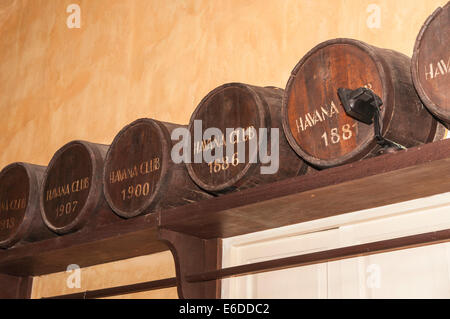 Eichenfässern für die Alterung der Havana Club Rum, Museo del Ron (Museum von Rum), Brennereien Havana Club Rum, Havanna, Kuba Stockfoto