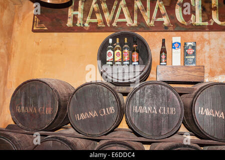 Eichenfässern für die Alterung der Havana Club Rum, Museo del Ron (Museum von Rum), Brennereien Havana Club Rum, Havanna, Kuba Stockfoto