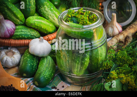 Glas mit Gurken und andere Zutaten für Beizen Stockfoto