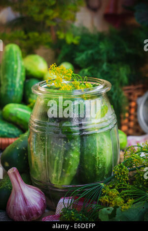 Glas mit Gurken und andere Zutaten für Beizen Stockfoto