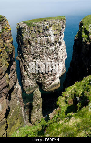 Der große Stapel von Handa, Handa Island, Sutherland, Schottland Stockfoto