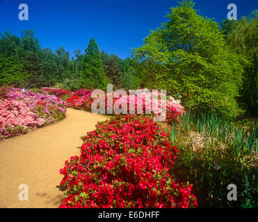 Isabella Plantage Richmond Surrey UK Stockfoto