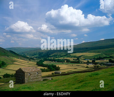 Thwaite Swaledale Yorkshire UK Stockfoto