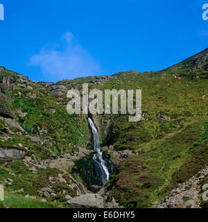 Mahon-Wasserfälle in der Nähe von Mahon Brücke in Irland Stockfoto