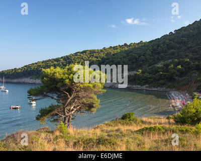 Blick über Sunj Strand an einem sonnigen Sommertag mit Pinien und Boote im Urlaub Insel Lopud, Elaphiti Inseln, die der Dalmatinischen Küste, Kroatien Stockfoto