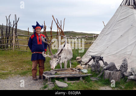 Honnigsvag, The Sami Leute leben wie Nomaden mit ihren Hirsche ganzjährig. Das Volk der Samen mit ihren Hirsche leben. Stockfoto