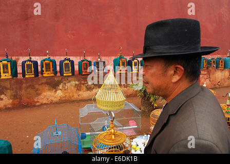 China, Yunnan Provinz, Stadt Jianshui Vogelmarkt Stockfoto