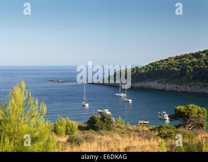 Anzeigen von sunj Bucht an einem sonnigen Sommertag mit Pinien und Boote im Urlaub Insel Lopud, Elaphiti Inseln, die der Dalmatinischen Küste, Kroatien Stockfoto