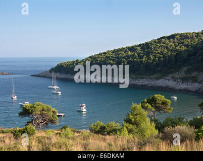 Anzeigen von sunj Bucht an einem sonnigen Sommertag mit Pinien und Boote im Urlaub Insel Lopud, Elaphiti Inseln, die der Dalmatinischen Küste, Kroatien Stockfoto