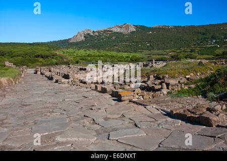 Römische Ruinen Baelo Claudia - Decumanus Maximus und Sierra De La Plata, Tarifa, Cadiz Provinz, Andalusien, Spanien, Europa Stockfoto