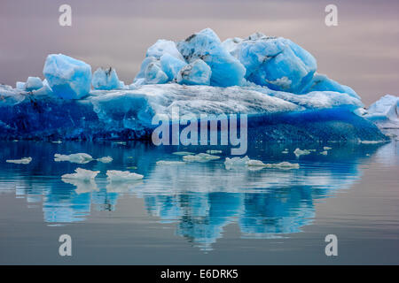 Eisberg treiben in Jökulsárlón Gletscher-Bucht Stockfoto