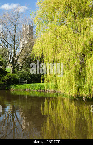 Die Laterne Turm von All Saints Church in Fotheringhay aus gesehen, neben den Nene-Fluss im Osten Northamptonshire, England Stockfoto