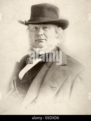 Horace Greeley (1811-1872), amerikanischer Redakteur und Politiker, Porträt, um 1870 Stockfoto