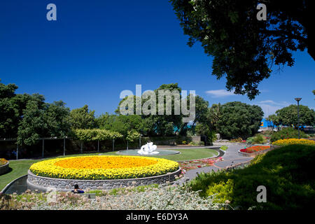 Runde Blume Display und Kunst im öffentlichen Raum entlang der Marine Parade in Napier in der Hawke Bay Region, Nordinsel, Neuseeland. Stockfoto