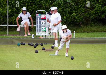 Rasen-Bowling bei Waitangi in der Bay of Islands, Nordinsel, Neuseeland. Stockfoto