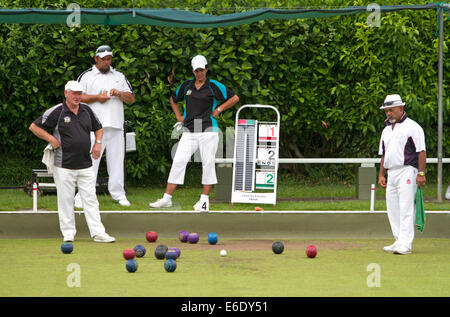 Rasen-Bowling bei Waitangi in der Bay of Islands, Nordinsel, Neuseeland. Stockfoto