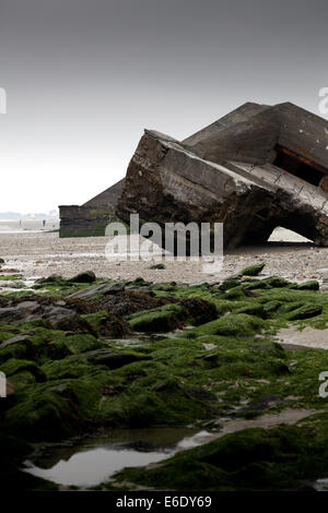 Zertrümmerte deutsche Bunker an der Küste der Normandie in Frankreich Stockfoto