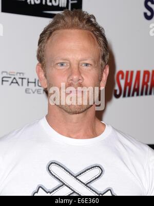 Los Angeles, CA, USA. 21. August 2014. Ian Ziering im Ankunftsbereich für SHARKNADO 2: die zweite eine königliche Kinos LA Live, Los Angeles, CA 21. August 2014. Bildnachweis: Dee Cercone/Everett Collection/Alamy Live-Nachrichten Stockfoto