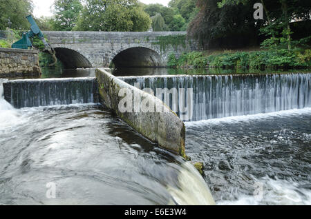 Tavistock Fluß Tavy Lachs Fisch screening-Gerät um Lachs Jungfische für Kanal betreten Wasserversorgung Kraftwerk zu verhindern Stockfoto