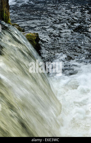 In der Nähe von Abtei Wand Tavistock Süßwasser Fluß Tavy Wehr und Wasserfälle mit Zugriff auf Lachs fischen migrieren stromaufwärts springen Stockfoto