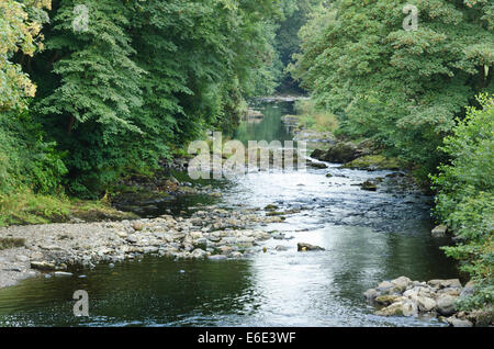 Blick hinunter Fluß Tavy Mitte des Sommers mit ruhigen Strecken und Pools zwischen den Felsen Findlinge Stockfoto