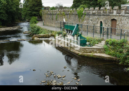 Tavistock Fluß Tavy Lachs Fisch screening-Gerät um Lachs Jungfische für Kanal betreten Wasserversorgung Kraftwerk zu verhindern Stockfoto