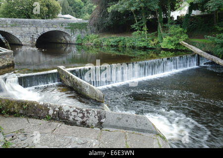 In der Nähe von Abtei Wand Tavistock Süßwasser Fluß Tavy Wehr und Wasserfälle mit Zugriff auf Lachs fischen, stromaufwärts zu migrieren Stockfoto