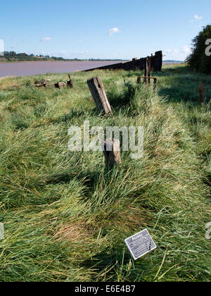 Purton Schiffe Friedhof, unerwünschte Schiffe strandeten an den Ufern des Flusses Severn, Erosion, zu verhindern, Berkeley, Gloucestershire Stockfoto