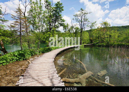 Promenade durch ein See, Nationalpark Plitvicer Seen, UNESCO World Heritage Site, Kroatien Stockfoto