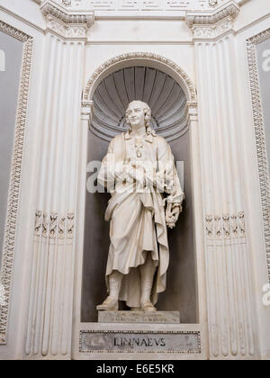 Statue von Carl von Linné in Villa Giulia, Palermo, Sizilien, Italien Stockfoto