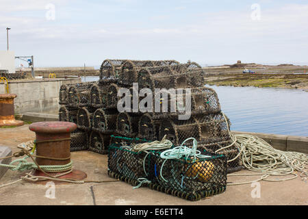 Hummer-Töpfe und Seil auf Harbourside, gemeinsame, Northumberland, England, UK Stockfoto