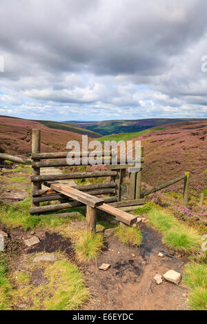 Hölzernen Stil auf der Pennine Way auf Torside Clough, Bleaklow, Derbyshire, Peak District National Park, England, UK. Stockfoto