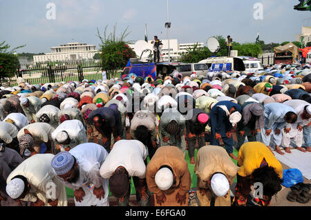 Islamabad, Pakistan. 22. August 2014. Unterstützer des pakistanischen Anti-Regierungs-Führers Tahir-Ul-Qadri beten während einer Gemeinschaftsgebete Freitag bei einem Protest gegen die Regierung-Site vor dem Parlament in Islamabad, der Hauptstadt von Pakistan, 22. August 2014 statt. Bildnachweis: Ahmad Kamal/Xinhua/Alamy Live-Nachrichten Stockfoto