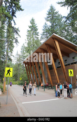 Lynn Canyon Park, nördlich von Vancouver, Kanada, ist ein beliebter Drehort aufgrund seiner natürlichen Landschaft. Stockfoto