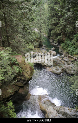 Lynn Canyon Park, nördlich von Vancouver, Kanada, ist ein beliebter Drehort aufgrund seiner natürlichen Landschaft. Stockfoto