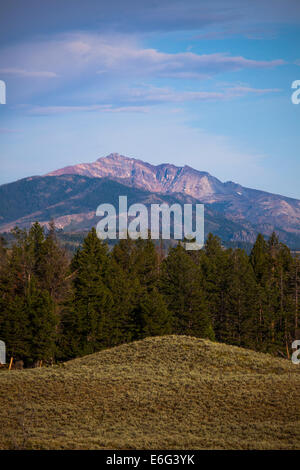 Morgen des dramatischen 3343 m e Peak in Anzeigen in Montana, gesehen vom Hirsch Blacktail Plateau, Yellowstone-Nationalpark Stockfoto