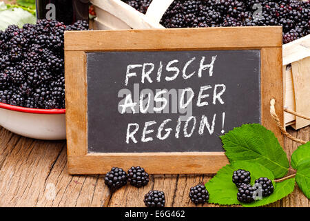 Schiefer Tafel mit den deutschen Worten: Frisch aus der Region (frisch aus der Region), vor reife Brombeeren Stockfoto